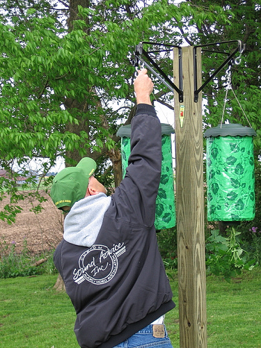 Hang in permanent location (deck, tree, house, our our gro-pole, this stand custom designed by customer)