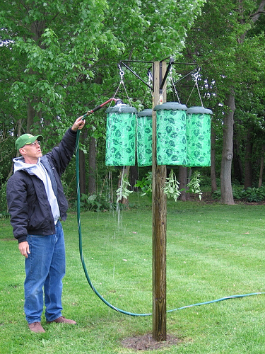 water & fertilize after hanging in final location ( gets heavy after watering)